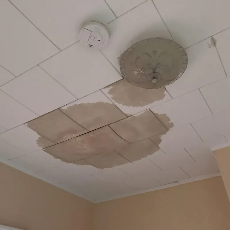 Ceiling Water Damage Repair in Rayville, LA